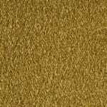 Parade soft sense II